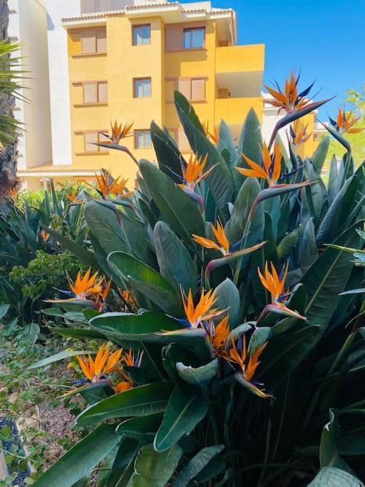 Casa De Flores تورّيفيِخا المظهر الخارجي الصورة